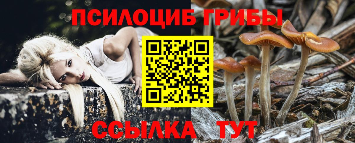 Псилоцибиновые грибы ЛСД Дмитров