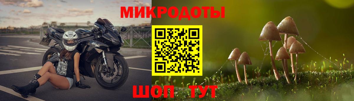 Дмитров  Галлюциногенные грибы прущие грибы  Вход с VPN 